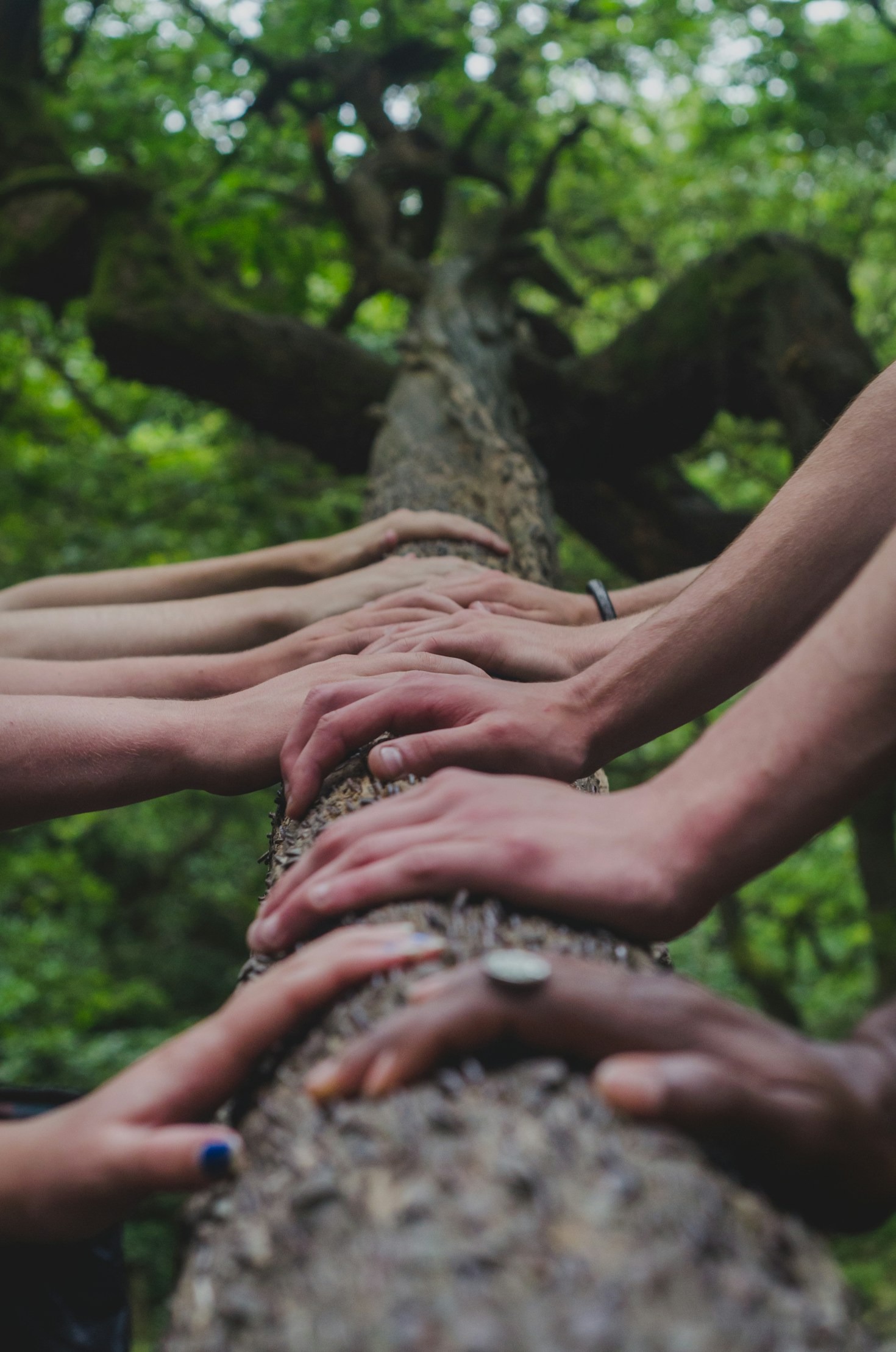 The Art of Sharing Insights Effectively